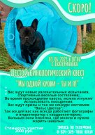 Кинологический квест "МЫ ОДНОЙ КРОВИ - ТЫ И Я" Кинологический квест "МЫ ОДНОЙ КРОВИ - ТЫ И Я"
